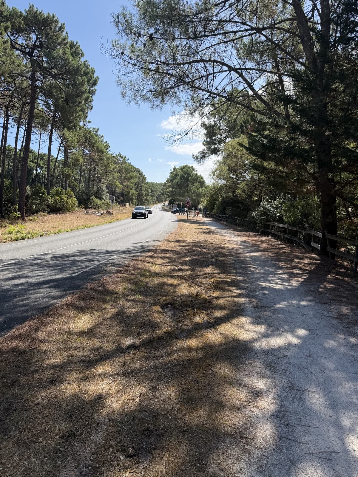 Route et piste cyclable bordées de pins à Lacanau Océan, sous un ciel dégagé — aucune trace d'incendie ni de fumée.